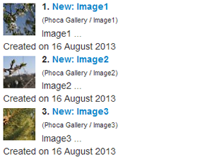 Phoca Gallery Search Plugin