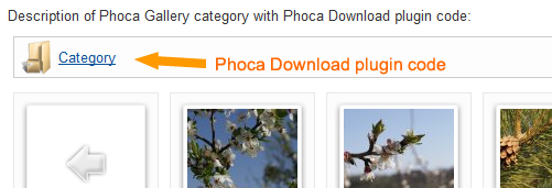 Content Plugin rendered in Phoca Gallery