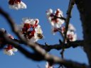 Spring (Nature)