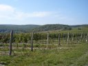 South Moravia - Znojmo