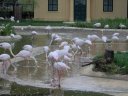 ZOO Vienna