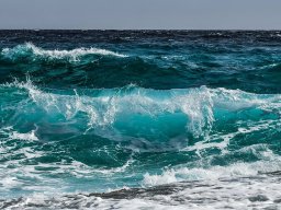 sea2