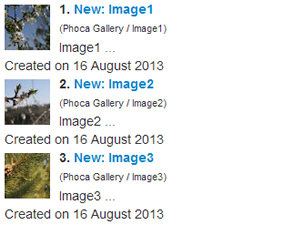 Phoca Gallery Search Plugin Phoca Gallery Search Plugin