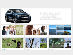 Phoca Gallery Slideshow bxSlider Module