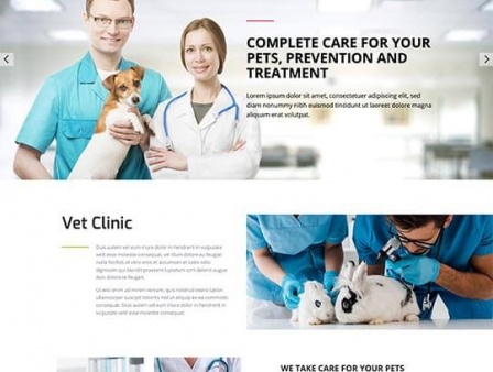 Veterinarian