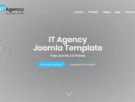 IT Agency