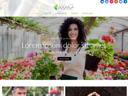 Mx_joomla172