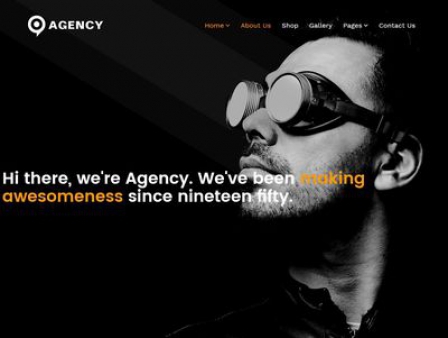 WT Agency