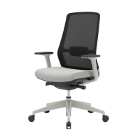 Ergonomic Chair