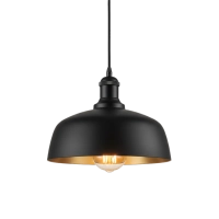 Industrial Pendant