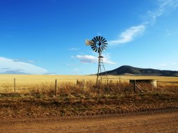 Windmill