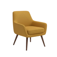 Accent Armchair
