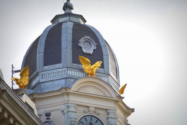 Vienna 5