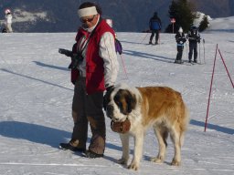alps-02