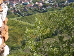 017-mikulov