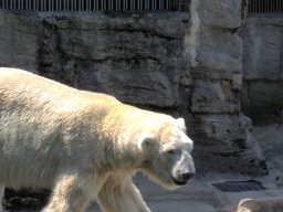005-zoo