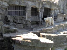006-zoo
