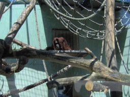 007-zoo