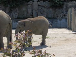 008-zoo